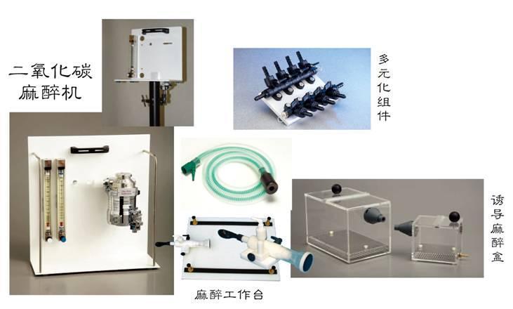 动物麻醉安乐死工作站