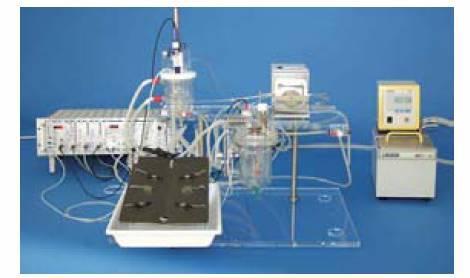 IL-2大鼠肺灌流系统
