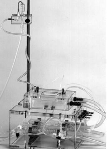 PBTO 管状器官灌流系统