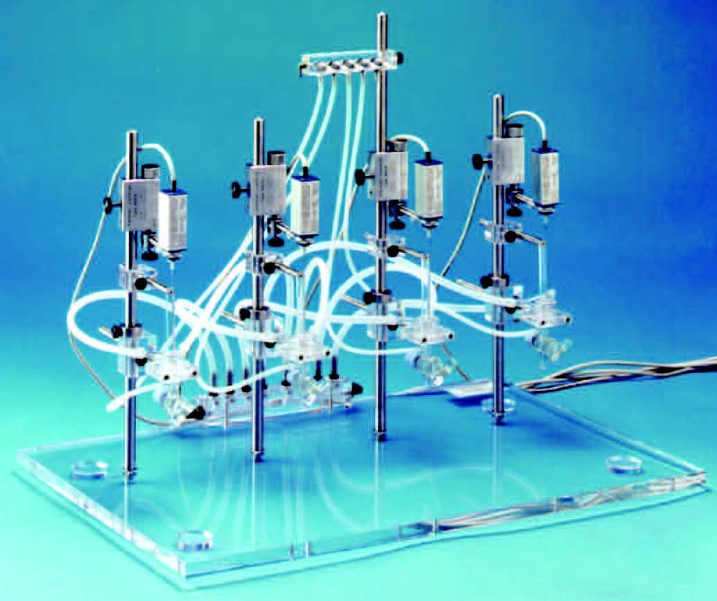 Graz小血管环浴槽系统