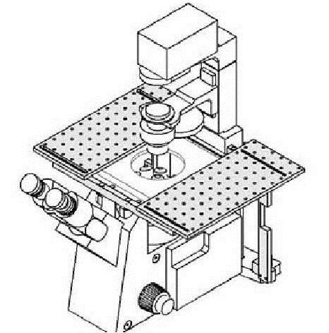MD系列显微镜扩展平台