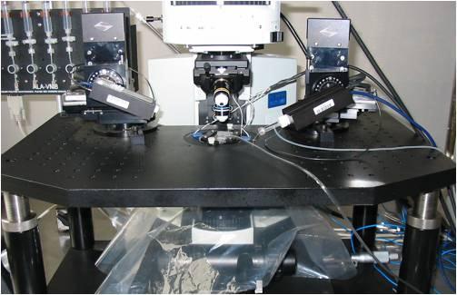 DL-1T型显微镜X-Y移动台与支撑平台