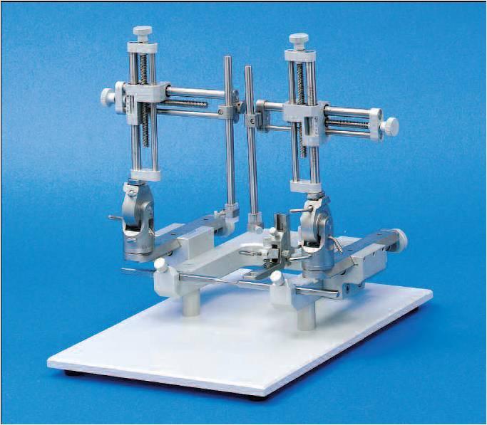 Lab Standard 大鼠双臂定位仪