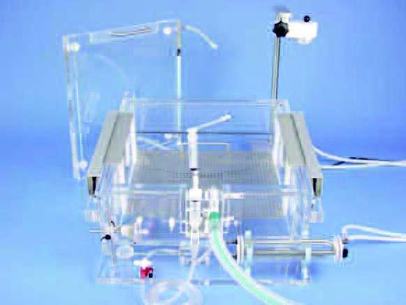 IL-16猪离体肺研究系统