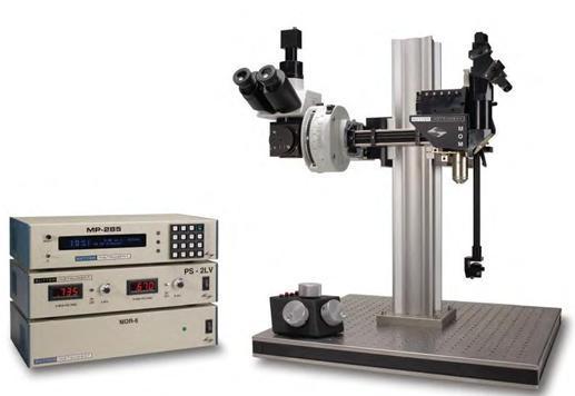 Sutter MOM双光子显微镜