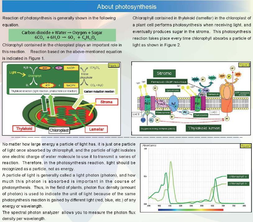 NK Spectral Photon Analyzer 光谱光子分析仪