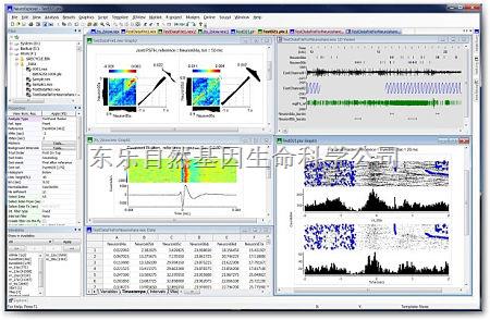 NeuroExplorer分析软件