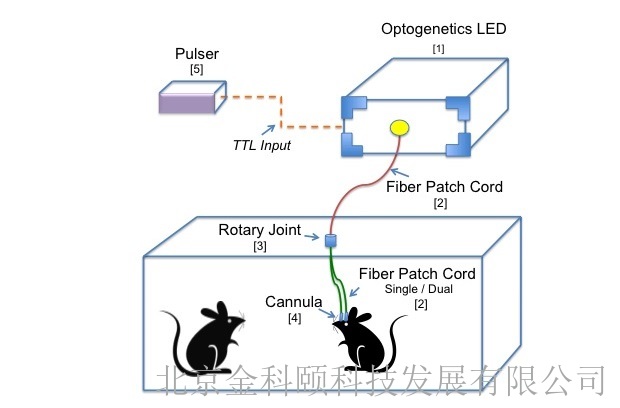Prizmatix在体光遗传解决方案