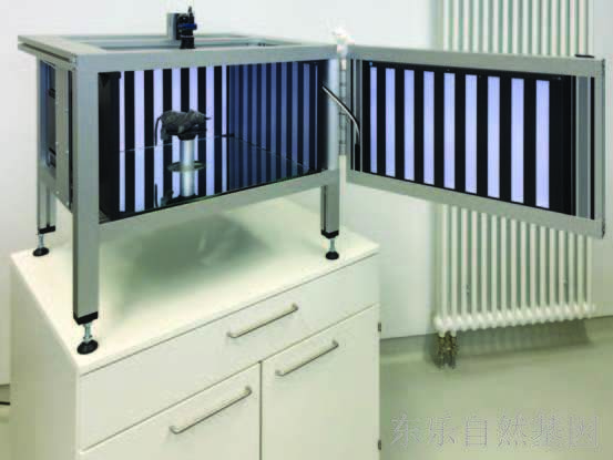 全自动小动物视觉分析系统