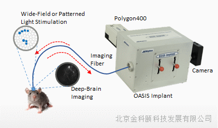 Mightex OASIS Implant 在体光纤成像系统