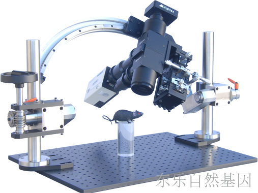 Mightex OASIS In Vivo Macro & Microscope 体视显微镜