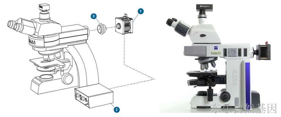 Mightex Microscopy LEDs 显微镜LED光源