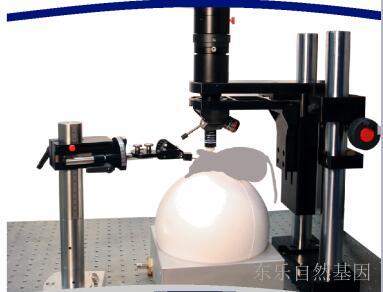 LNscopes显微成像系统