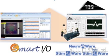 SMART 电生理 &光遗传学联用系统