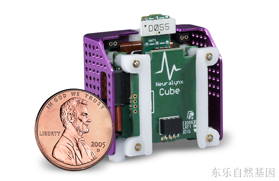 FreeLynx无线headstage在体多通道脑电记录分析系统