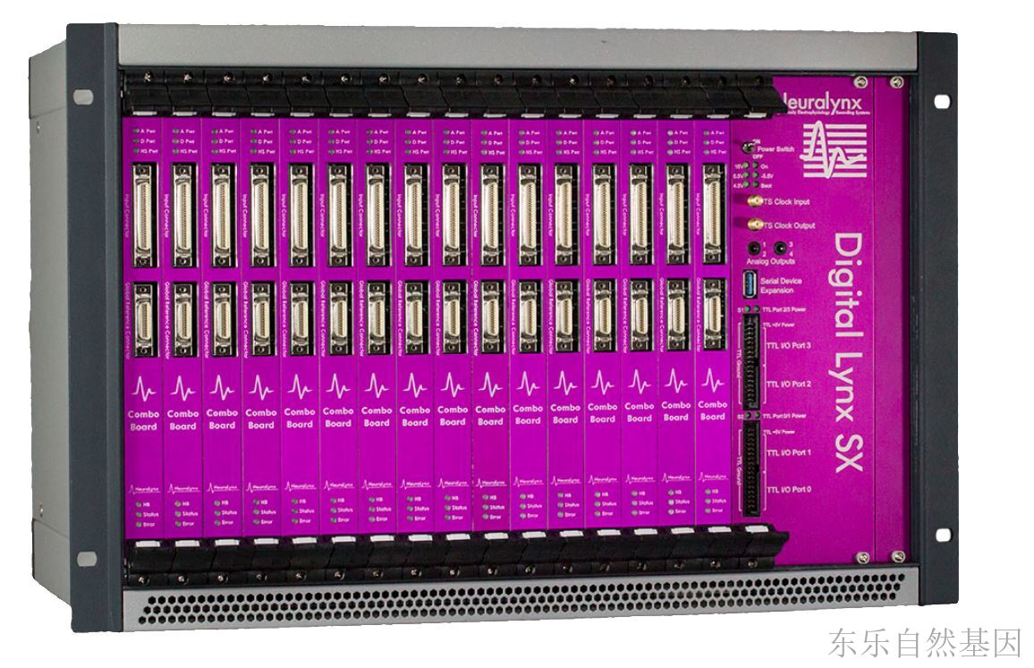 Digital Lynx 16SX 在体多通道脑电记录系统