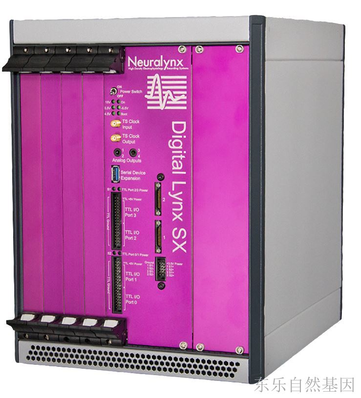 Digital Lynx 4SX在体多通道脑电记录系统