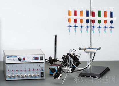 快速灌流给药系统