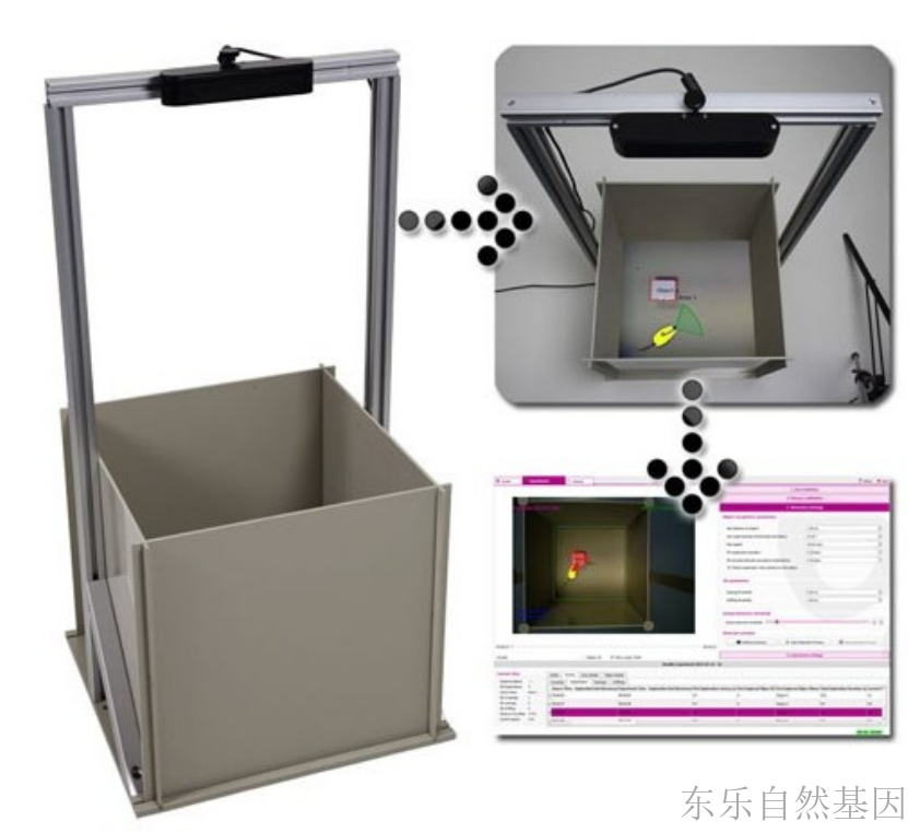 新异物体识别系统