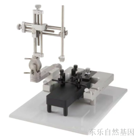 小鼠专用立体定位仪